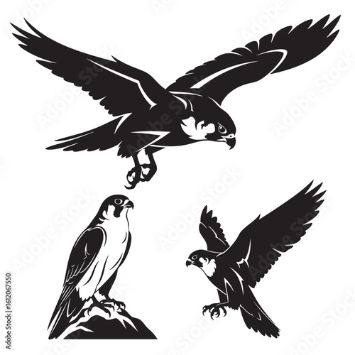 Set of 3 Peregrine Falcon Silhouettes as Bird of Prey Icons
