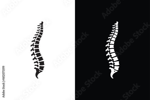 Spine human part icon isolated vector icon illustration on white background.