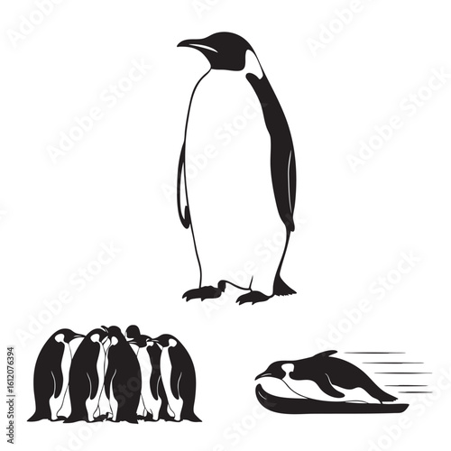 Set of 3 Emperor Penguin Silhouettes as Antarctic Bird Icons