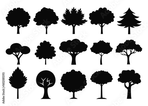 Set of 10 common urban or park tree silhouettes isolated on white background