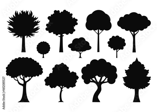 Set of 10 common urban or park tree silhouettes isolated on white background