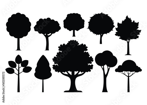 Set of 10 common urban or park tree silhouettes isolated on white background