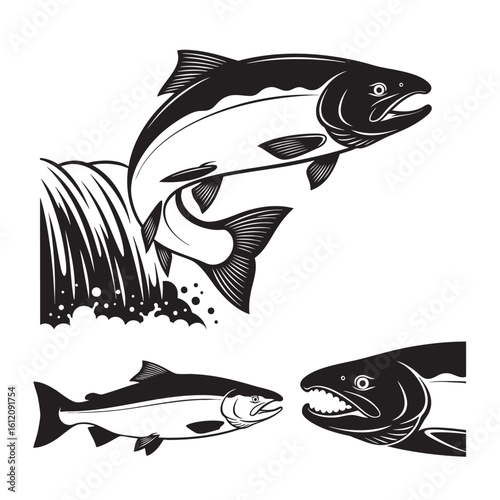 Set of 3 Salmon Silhouettes as a Freshwater Fish Icon Set