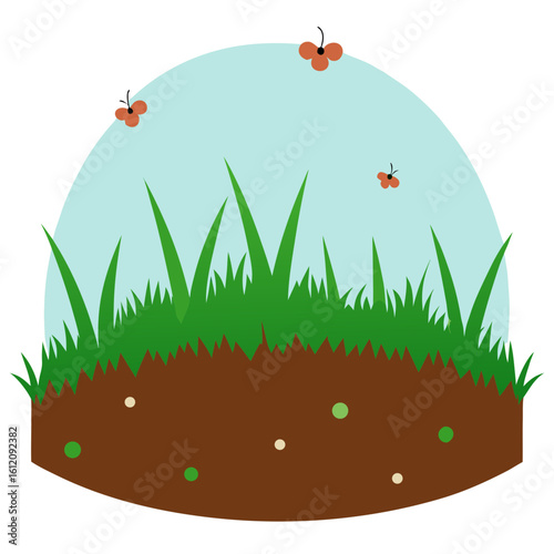 ladybug on green grass