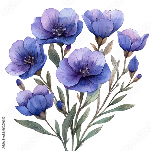watercolor vector of Sea Lavender Flower, isolated on a white background.