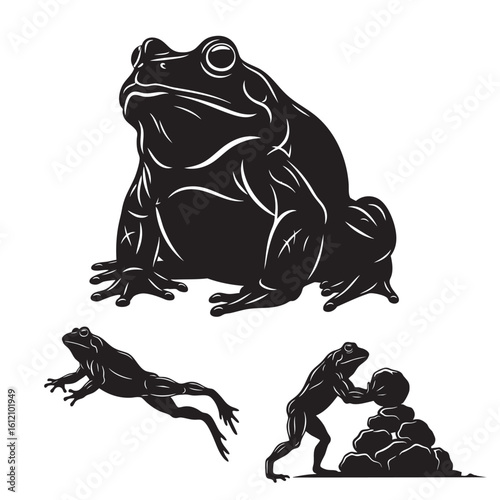 Set of 3 Goliath Frog Silhouettes as a Giant Amphibian Icon Set