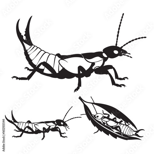 Set of 3 Earwig Silhouettes as a Pincer Bug Vector Icon Set