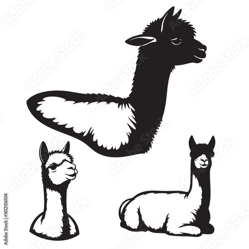 Set of 3 Alpaca Silhouettes as a South American Camelid Icon Set