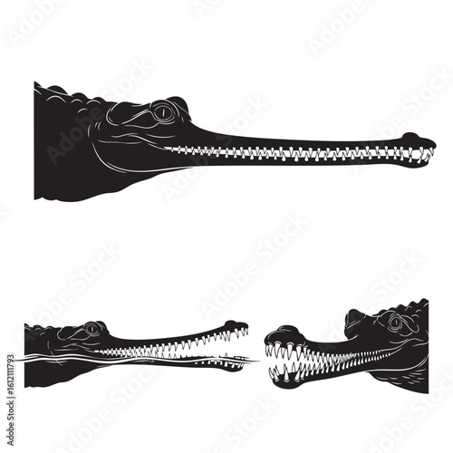 Set of 3 Gharial Silhouettes as a Thin Snouted Crocodilian Set