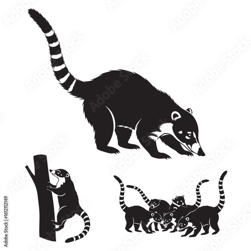 Set of 3 Coati Silhouettes as a Coatimundi Raccoon Family Set