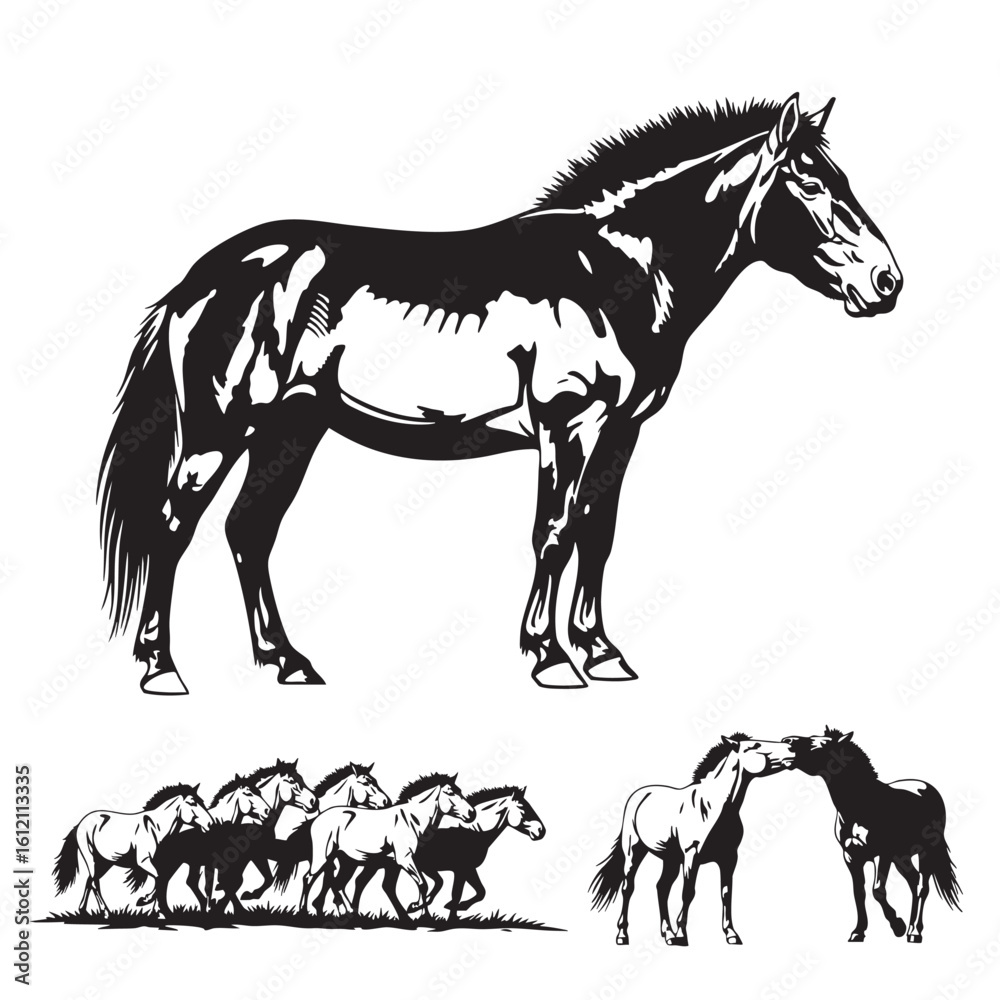 Fototapeta premium Set of 3 Przewalski Horse Silhouettes as a Wild Equine Set