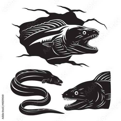 Cuadro en lienzo Set of 3 Moray Eel Silhouettes as a Reef Predator Vector Set