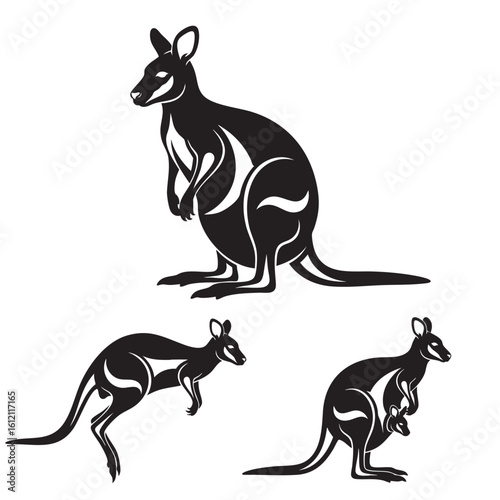 Set of 3 Wallaby Silhouettes as an Australian Marsupial Vector Set