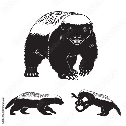 Set of 3 Honey Badger Silhouettes as a Tenacious Mammal Icon Set