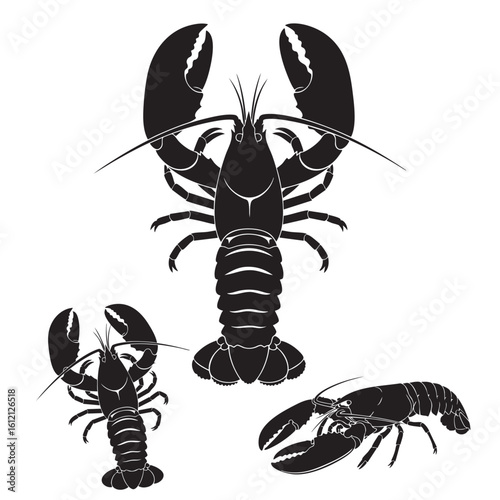 Set of 3 Lobster Silhouettes as a Marine Crustacean Vector Set