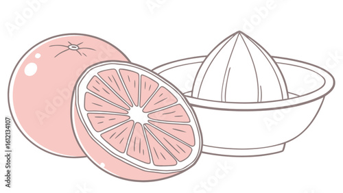 Illustration of fresh pink grapefruit with juicer for healthy eating and vitamin c intake concept