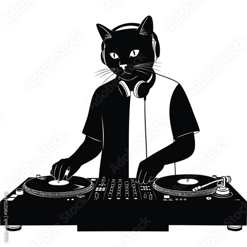 Cool Black Cat DJ Mixing Music on Turntables