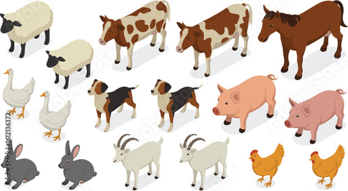 Isometric farm animals vector collection. Set of domestic livestock and poultry for design.