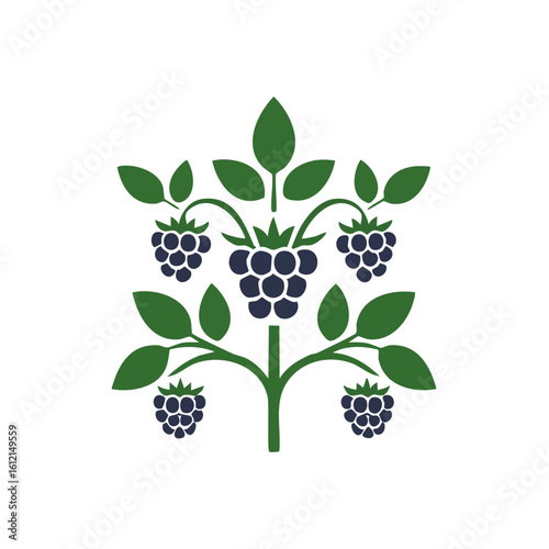 Blackberry bush stylized illustration with berries and green leaves on black background