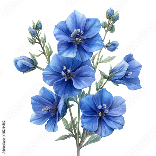 Larkspur Flower, watercolor vector, isolated on a white background.