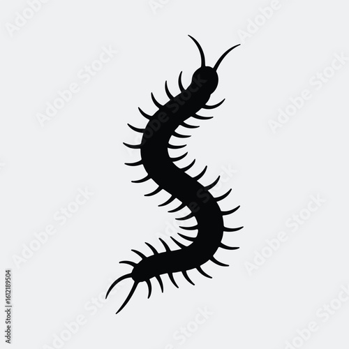 Silhouette centipede crawling black and white graphic vector illustration