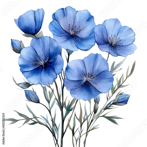 Flax Flower, watercolor illustration vector, isolated on a white background.