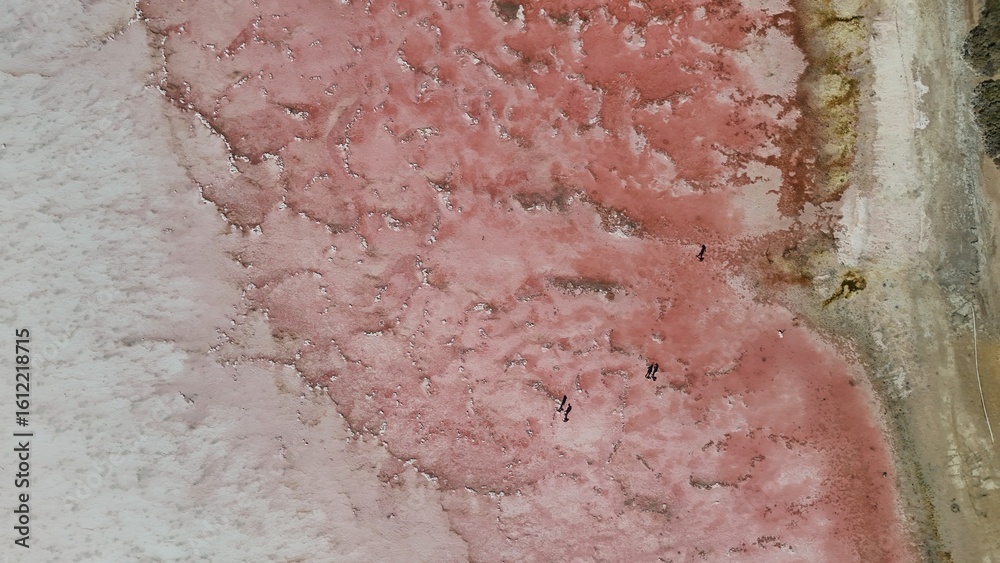 Fototapeta premium Aerial drone view of Hutt Lagoon Pink Lake in Western Australia