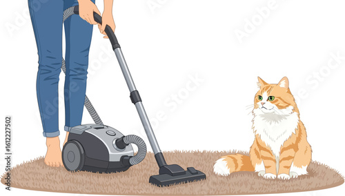 Woman vacuums near a fluffy ginger cat sitting on a rug, cleaning house.