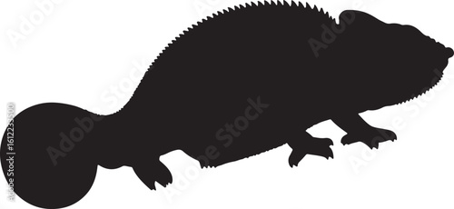 Chameleon silhouette mid step with head raised and curled tail style on white background
