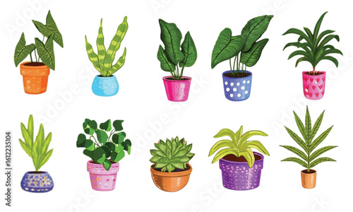 Diverse collection of potted houseplants with colorful pots