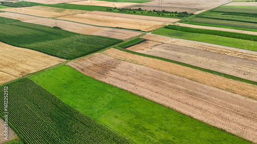 Cuadro en lienzo Aerial view of agricultural land showcasing varied fields of green, brown, and yellow