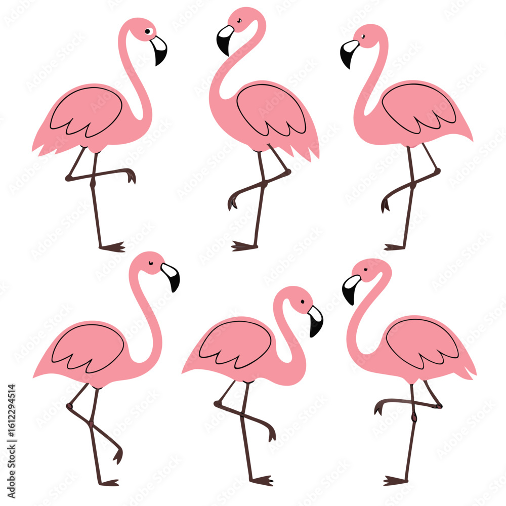 Obraz premium Six Pink Flamingos Standing on One Leg in a Patterned Arrangement bird wildlife