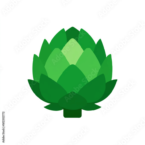 Artichoke on white background

