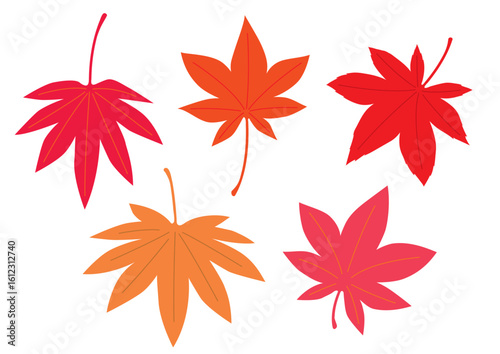 紅葉の葉っぱセット