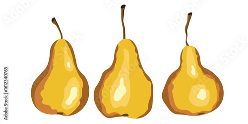 Pear isolated on white background. Natural delicious fresh ripe tasty fruit. Sweet pears with leaves. Food concept. Vector illustration for design.