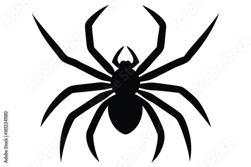 spider vector icon illustration
