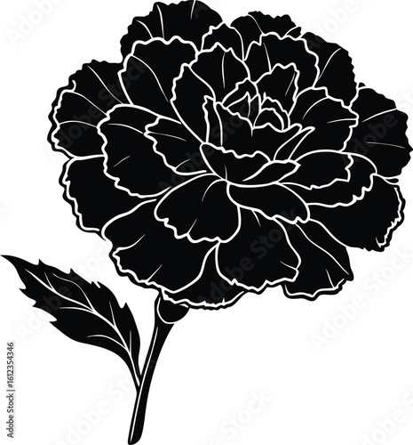 Black silhouette of a carnation flower with a leaf and stem on a white background
