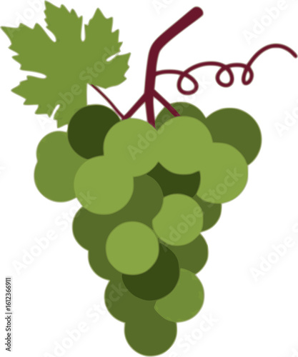 Minimal illustration of colorful grape bunch with burgundy stem on white background featuring various shades of green in a clean, modern style perfect for wine labels, food graphics, healthy lifestyle