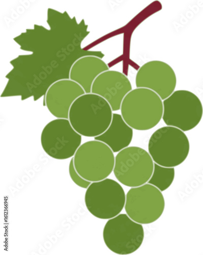 Minimal illustration of colorful grape bunch with burgundy stem on white background featuring various shades of green in a clean, modern style perfect for wine labels, food graphics, healthy lifestyle