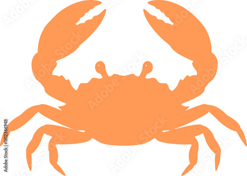 Colorful cartoon crab illustration in vibrant orange and hot pink on white background. Minimalist flat design sea creature with stylized claws and simple shapes perfect for children's content, marine