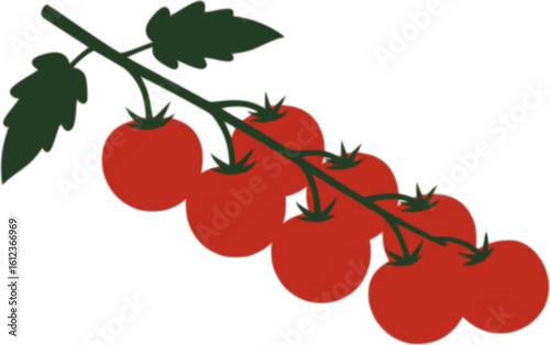 Fresh cherry tomatoes on vine with one cut in a half. Modern minimal vector illustration perfect for food packaging, recipe books, menu design and organic product branding 