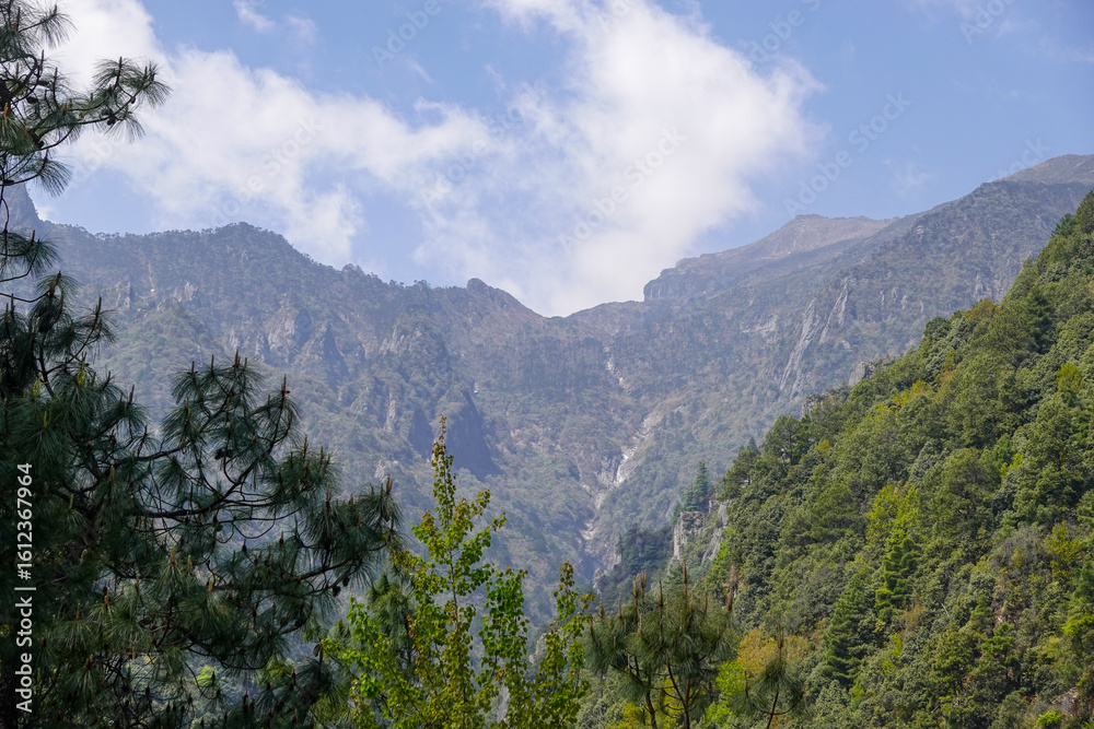 Obraz premium Mountain Gorge Meeting Open Sky and Pines