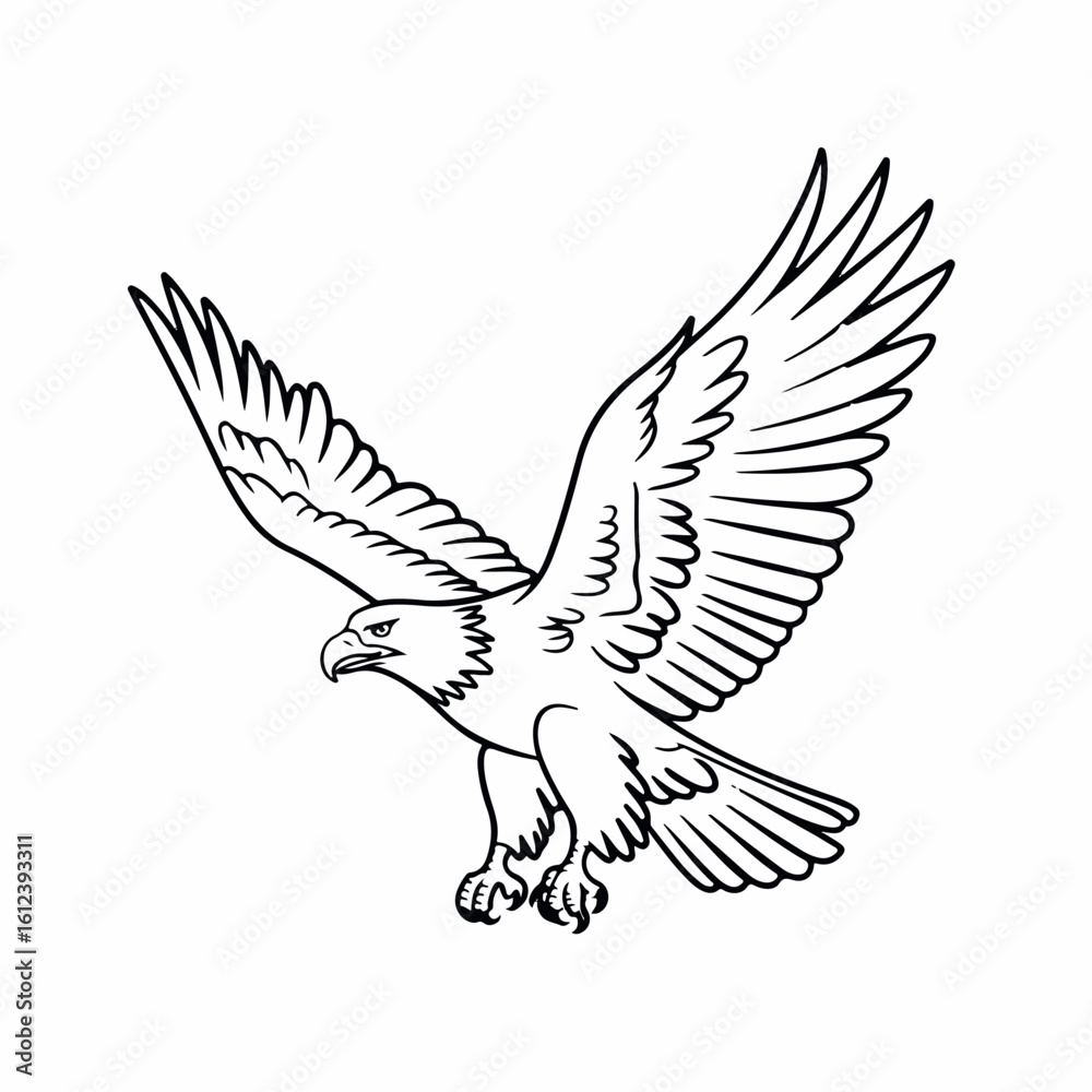Obraz premium Clean and modern vector detailed line art drawing of flying bald eagle with outstretched wings for coloring pages and clip art use