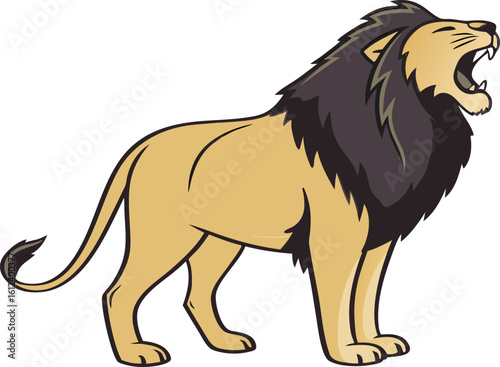 lion roaring on white background vector
