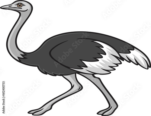 ostrich running on white background vector
