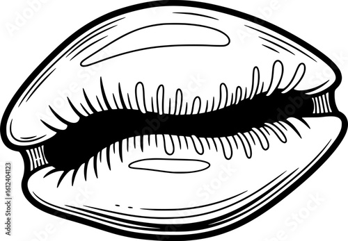Cowrie shell icon with smooth oval shape, hand-drawn style