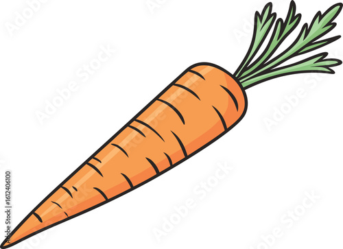 fresh carrot vegetable vector graphic design