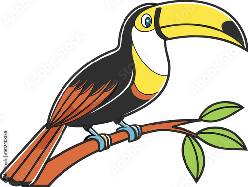 colorful toucan bird vector illustration transparent background

