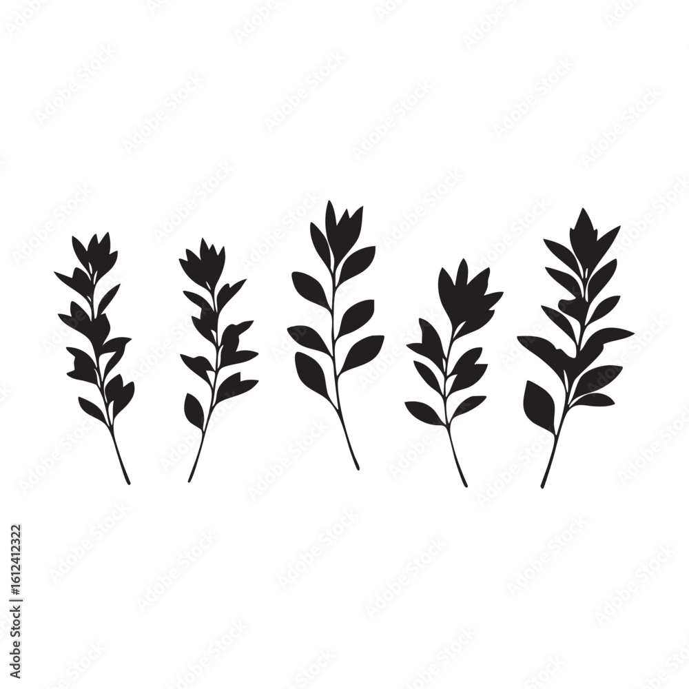 Fototapeta premium Black silhouette of five leafy branches isolated on white background silhouette