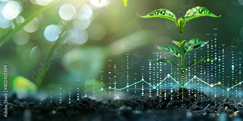 Plant growth with digital data and graph analysis, Technology enhancing plant growth and sustainability, Digital farming with data visualization and plant care

